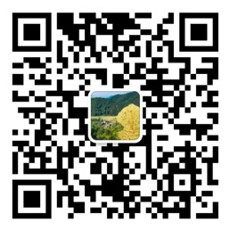 天天娱乐购彩大厅welcome